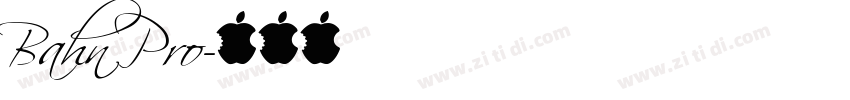 Bahn Pro字体转换